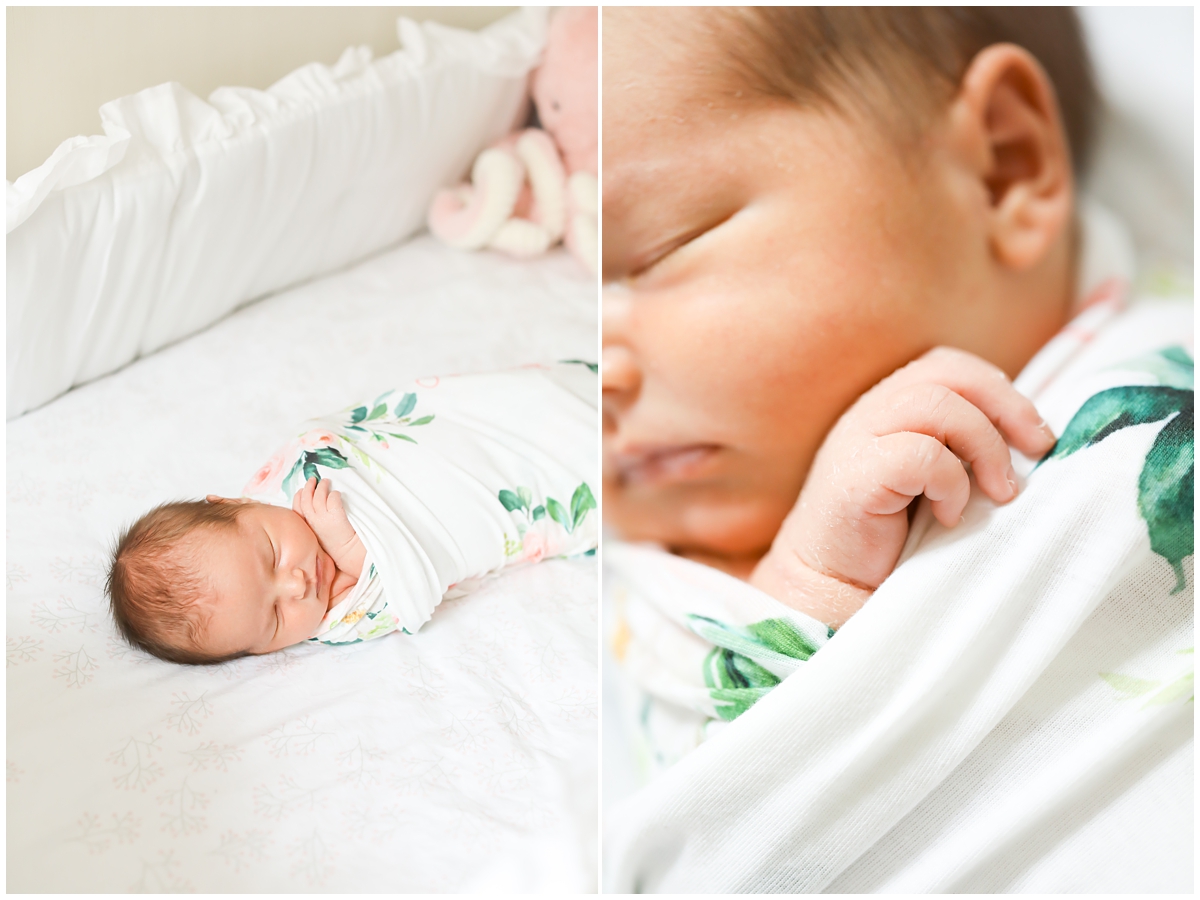 Westchase newborn photographer