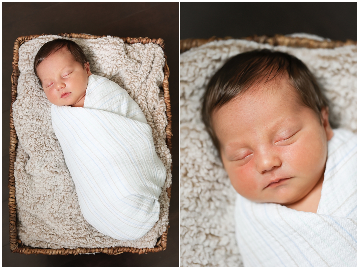Tampa newborn photos