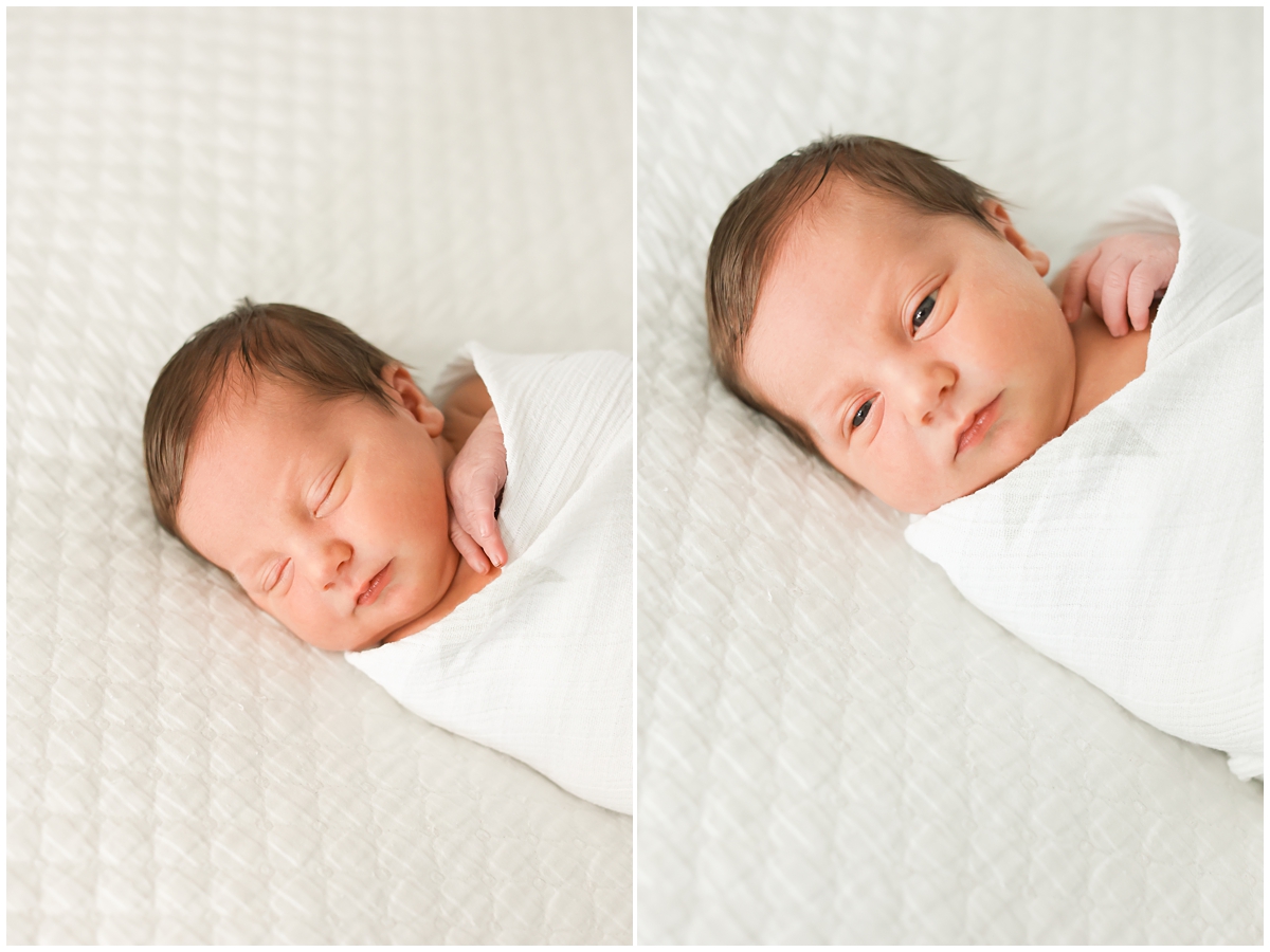 Tampa newborn photos