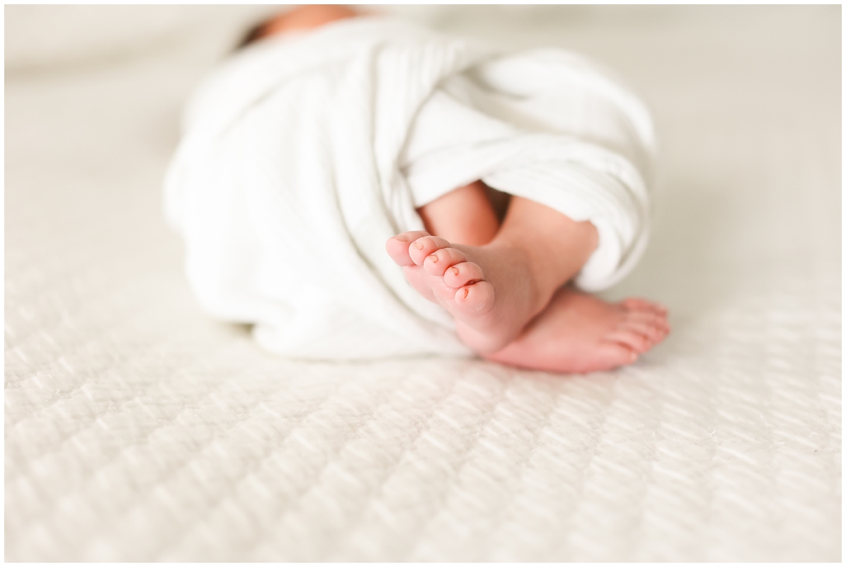 Tampa newborn details baby toes