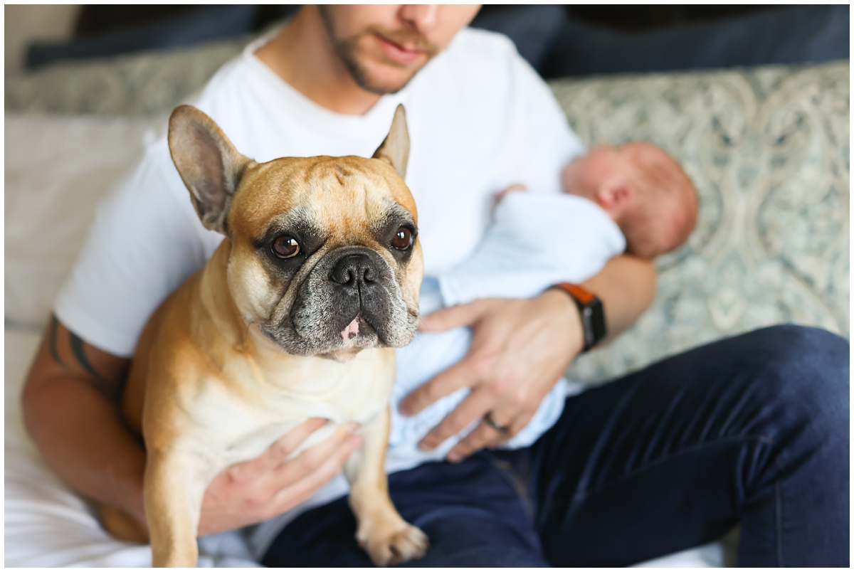 Big brother dog newborn photos