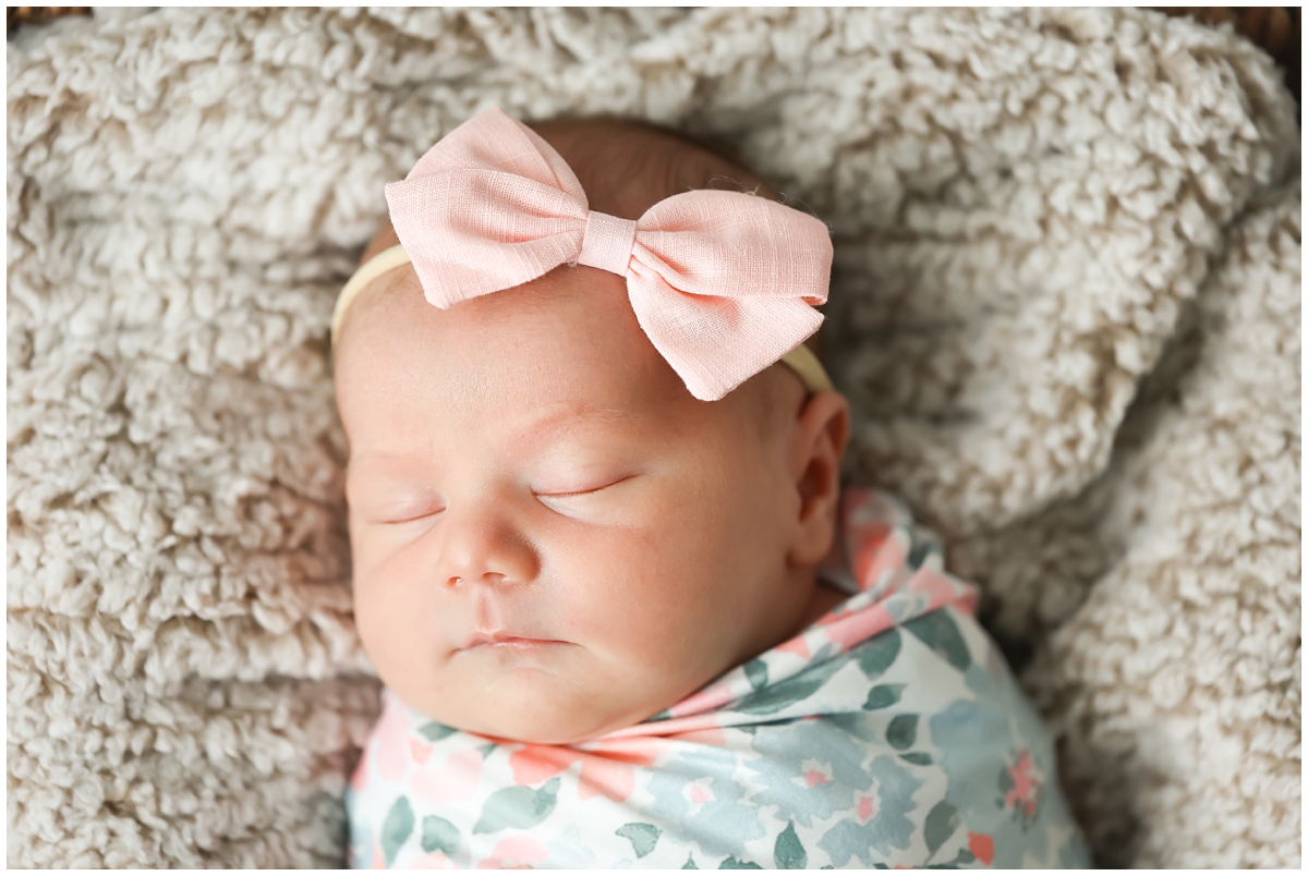 Westchase newborn photos