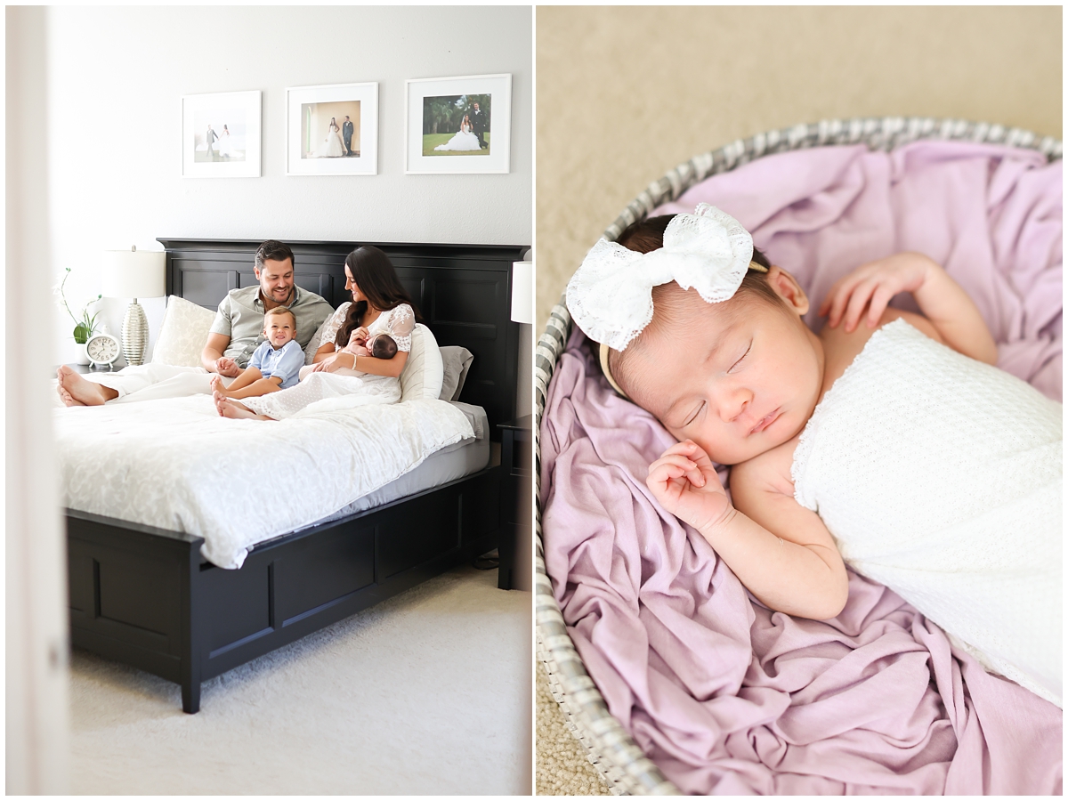 Westchase newborn photographer