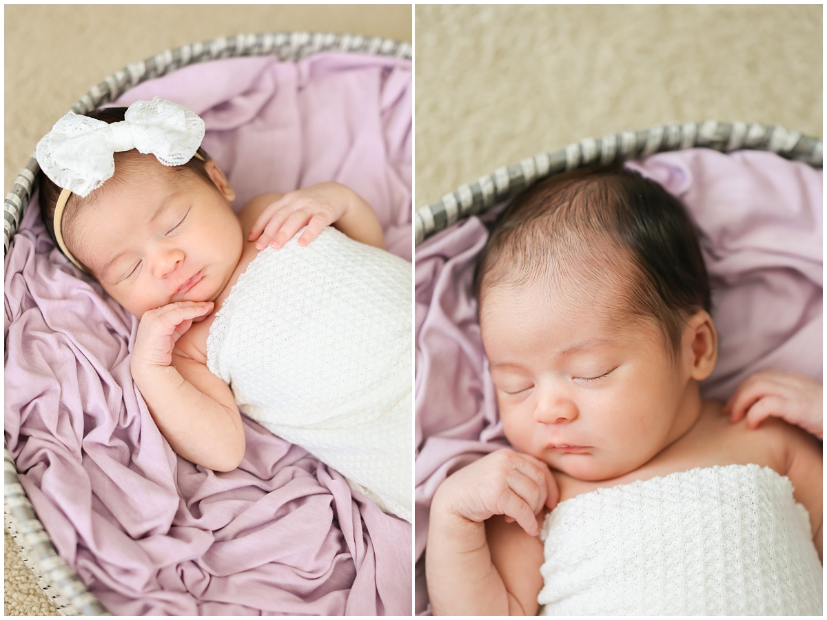 Westchase newborn photographer